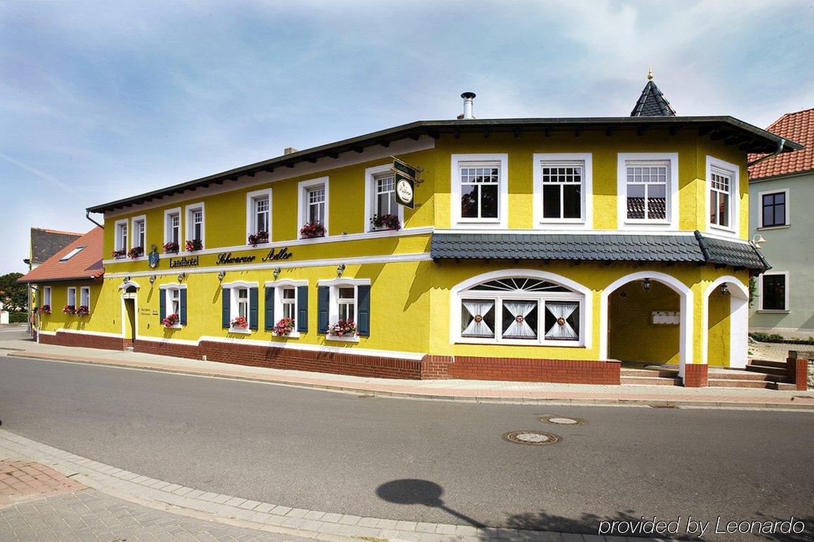 Landhotel Schwarzer Adler Suelzetal 外观 照片
